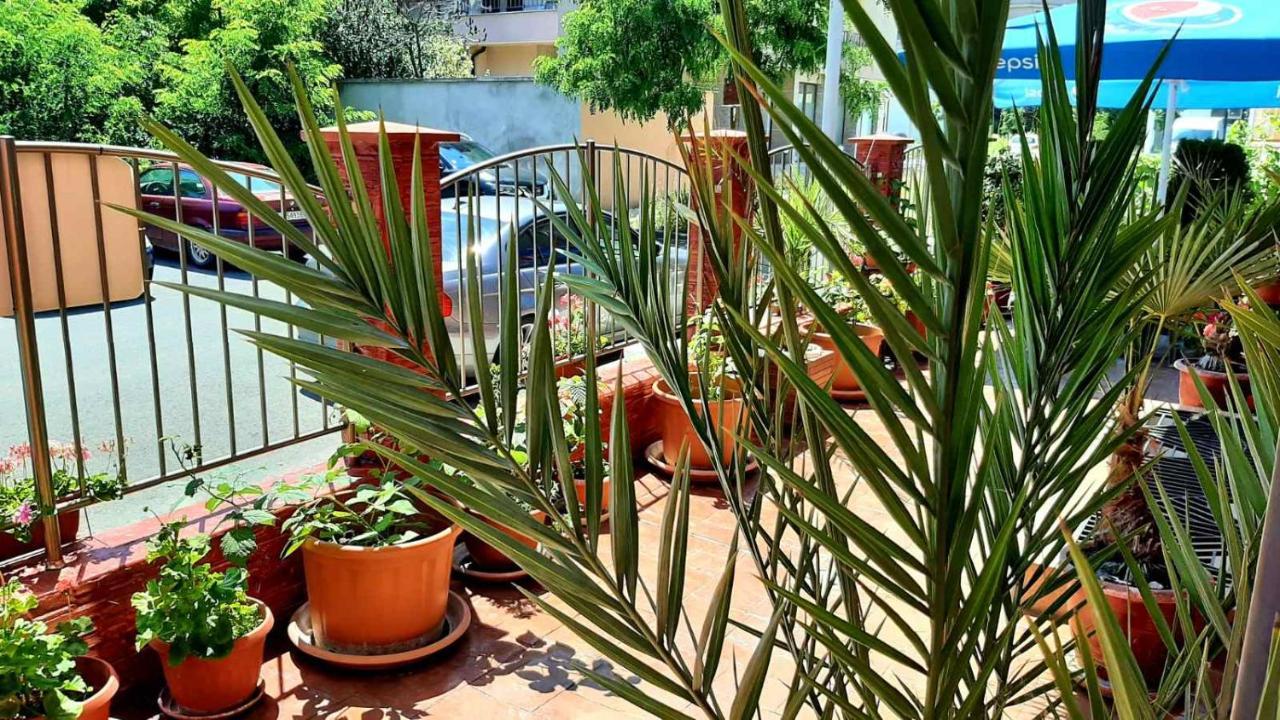 Adri Guest House Nesebar Ngoại thất bức ảnh